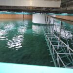 Resized_20220927_073016