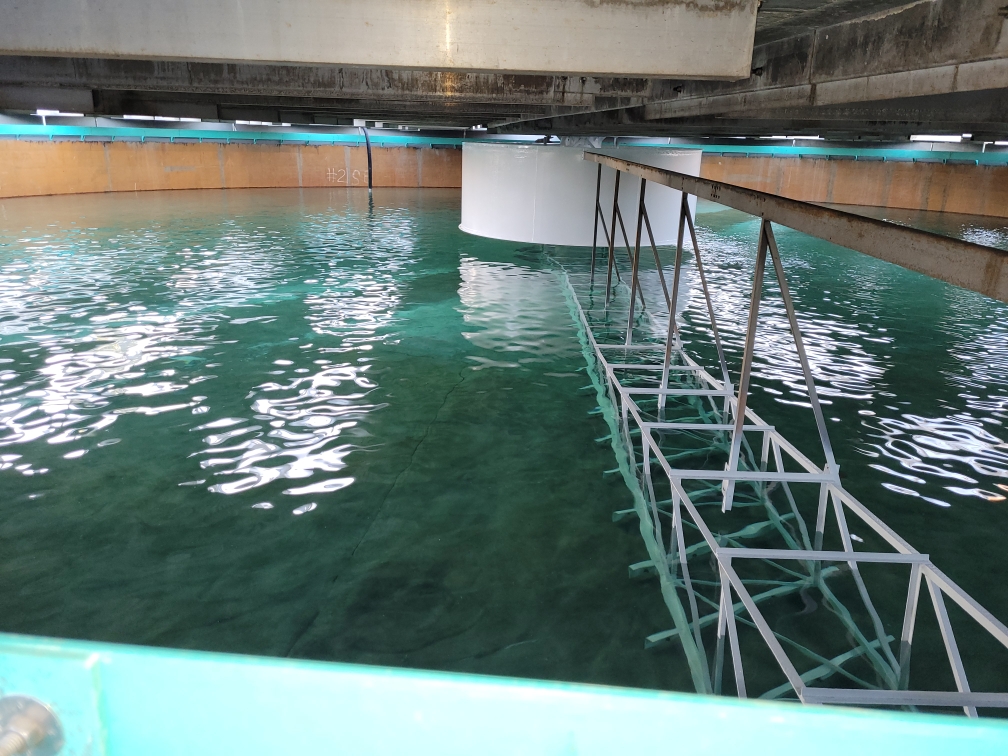 Resized_20220927_073016