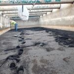 Resized_20220629_064947